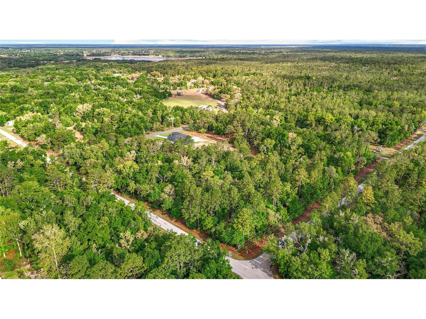 0 SW Breezy Point Drive Dunnellon FL 34431 O6296901 image8