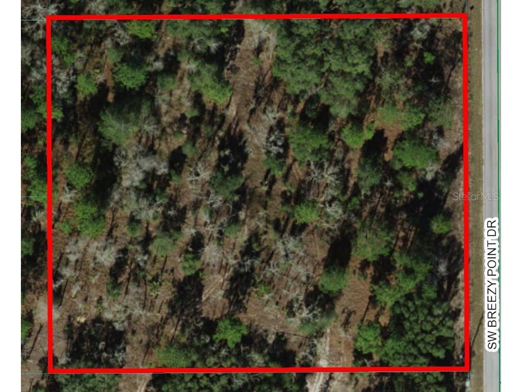 0 SW Breezy Point Drive Dunnellon FL 34431 OM688527 image1