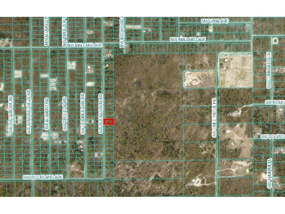 0 SW Buena Vista Road Dunnellon FL 34431 OM701976 image1