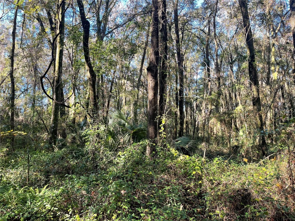 0 SW Chinchilla Glen High Springs FL 32643 GC518111 image1