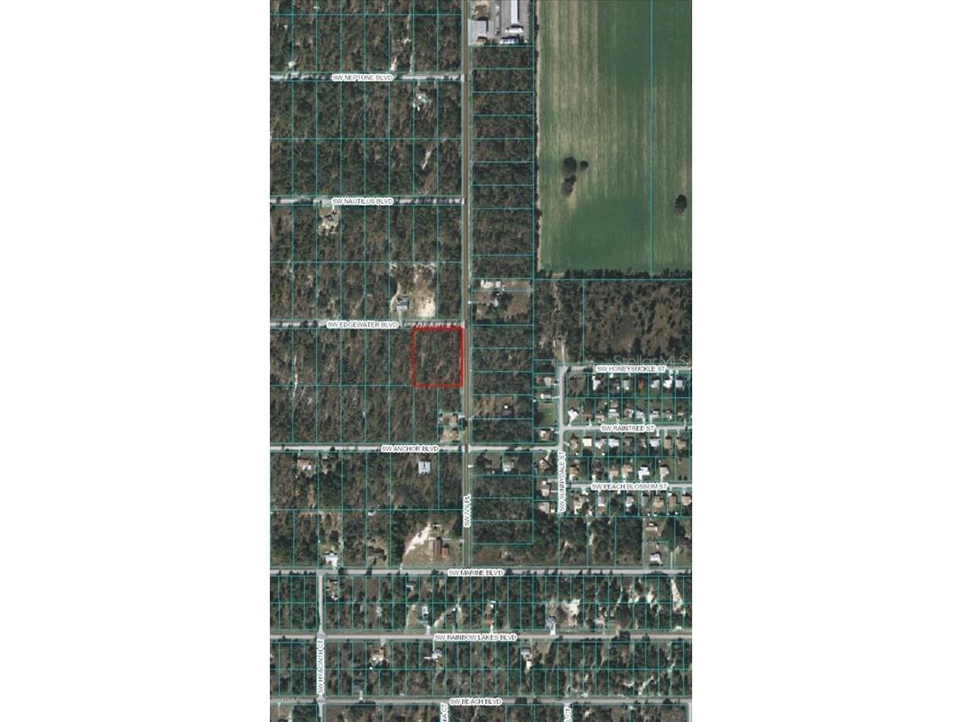 0 Sw Edgewater Blvd Dunnellon FL 34431 OM719450 image2