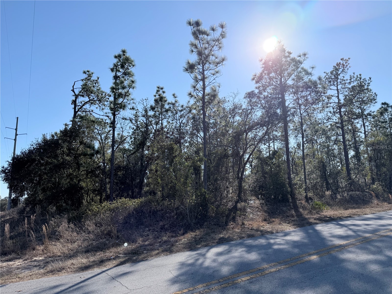 0 Sw Edgewater Blvd Dunnellon FL 34431 OM719450 image3
