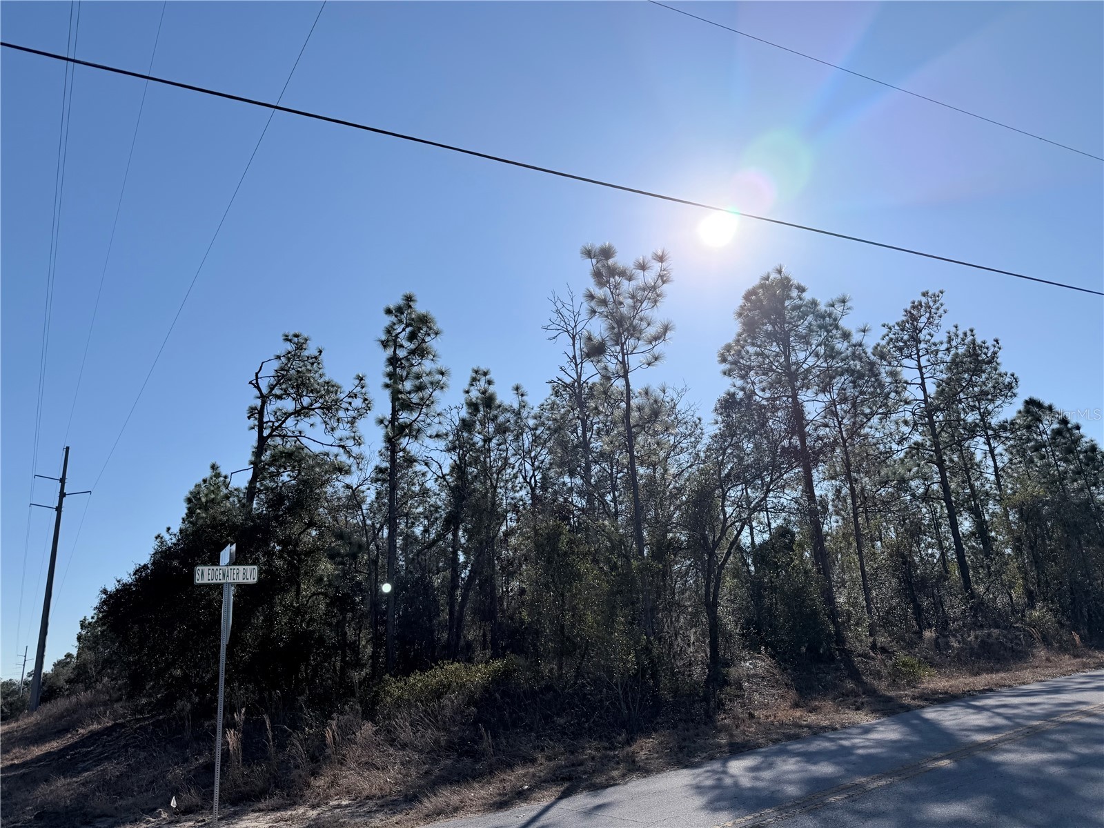 0 Sw Edgewater Blvd Dunnellon FL 34431 OM719450 image4