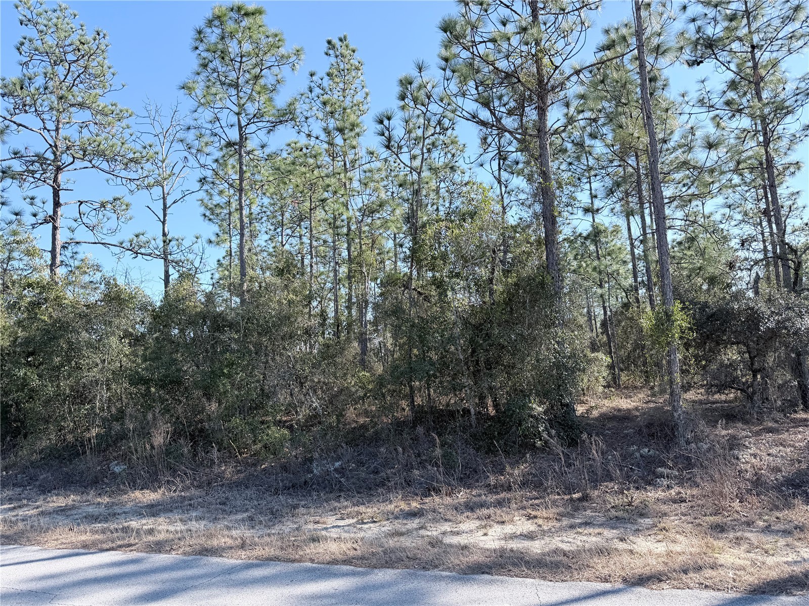 0 Sw Edgewater Blvd Dunnellon FL 34431 OM719450 image5