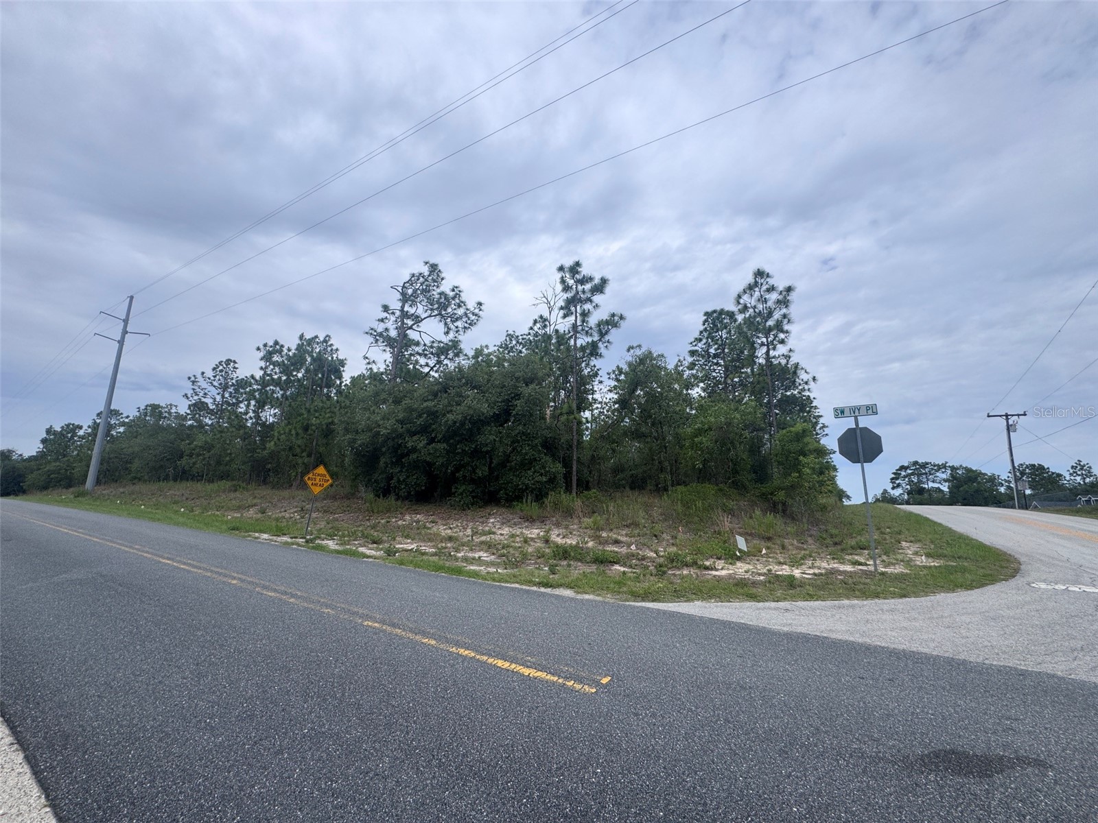 0 SW Egdewater Boulevard Dunnellon FL 34431 OM726290 image1