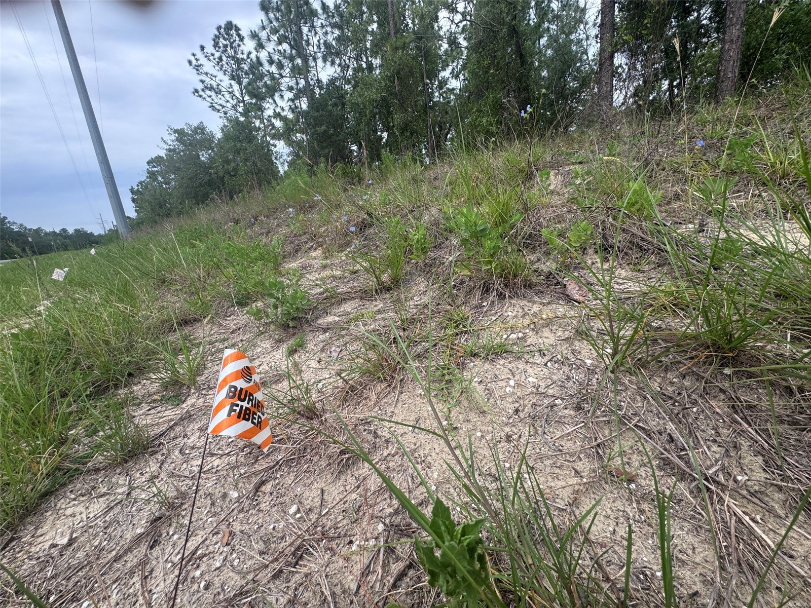 0 SW Egdewater Boulevard Dunnellon FL 34431 OM726290 image10