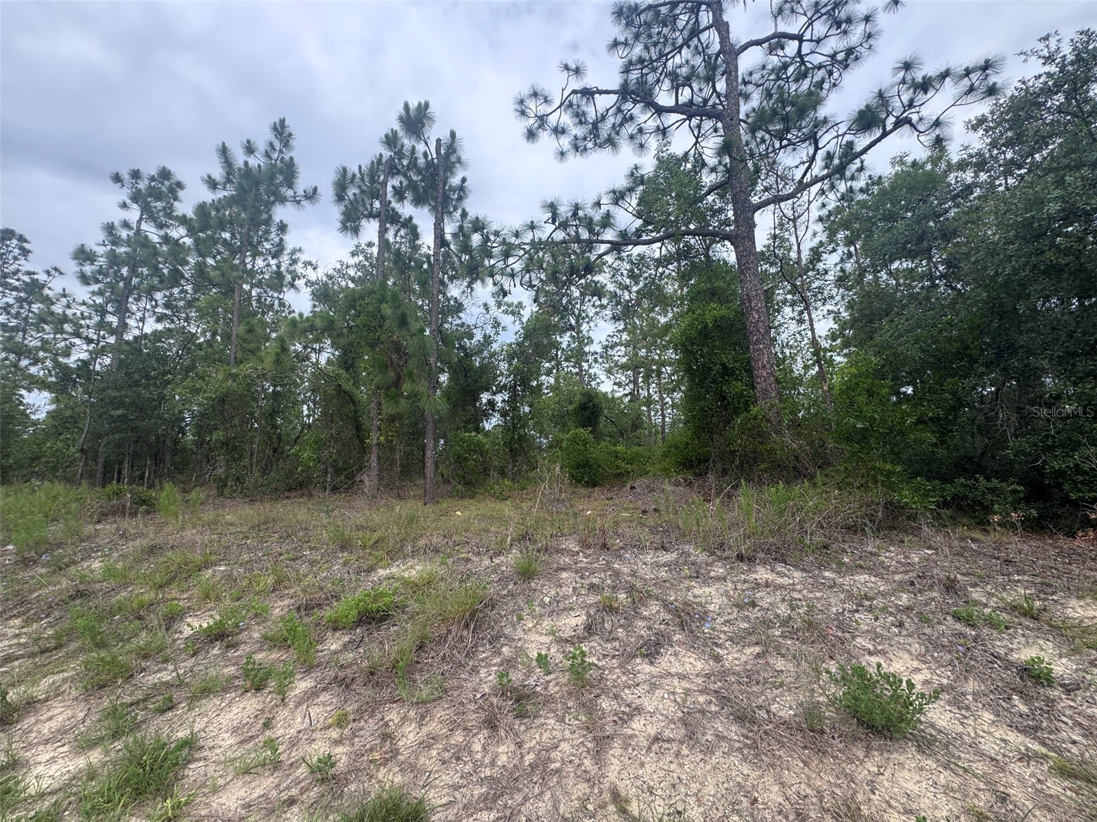 0 SW Egdewater Boulevard Dunnellon FL 34431 OM726290 image11