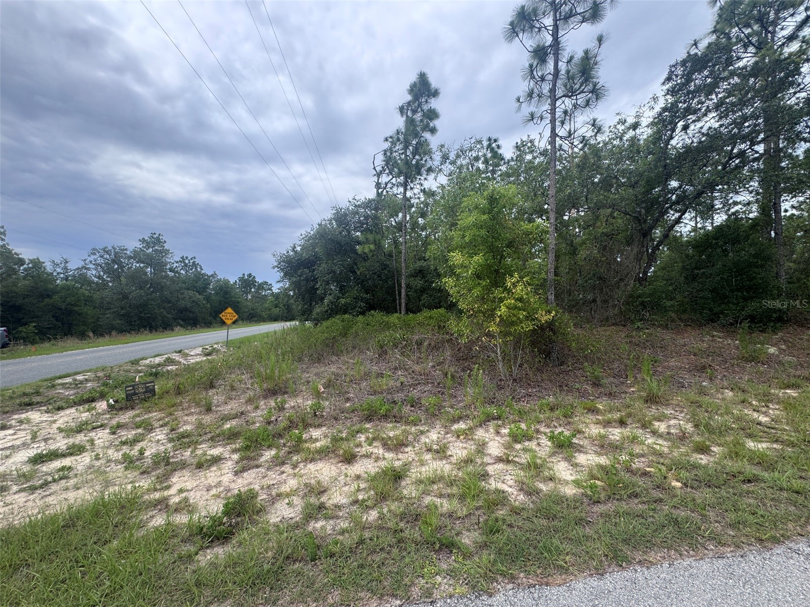 0 SW Egdewater Boulevard Dunnellon FL 34431 OM726290 image2