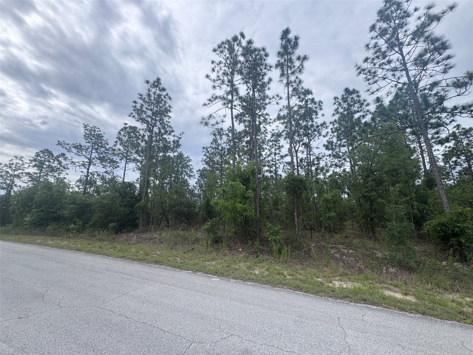 0 SW Egdewater Boulevard Dunnellon FL 34431 OM726290 image3