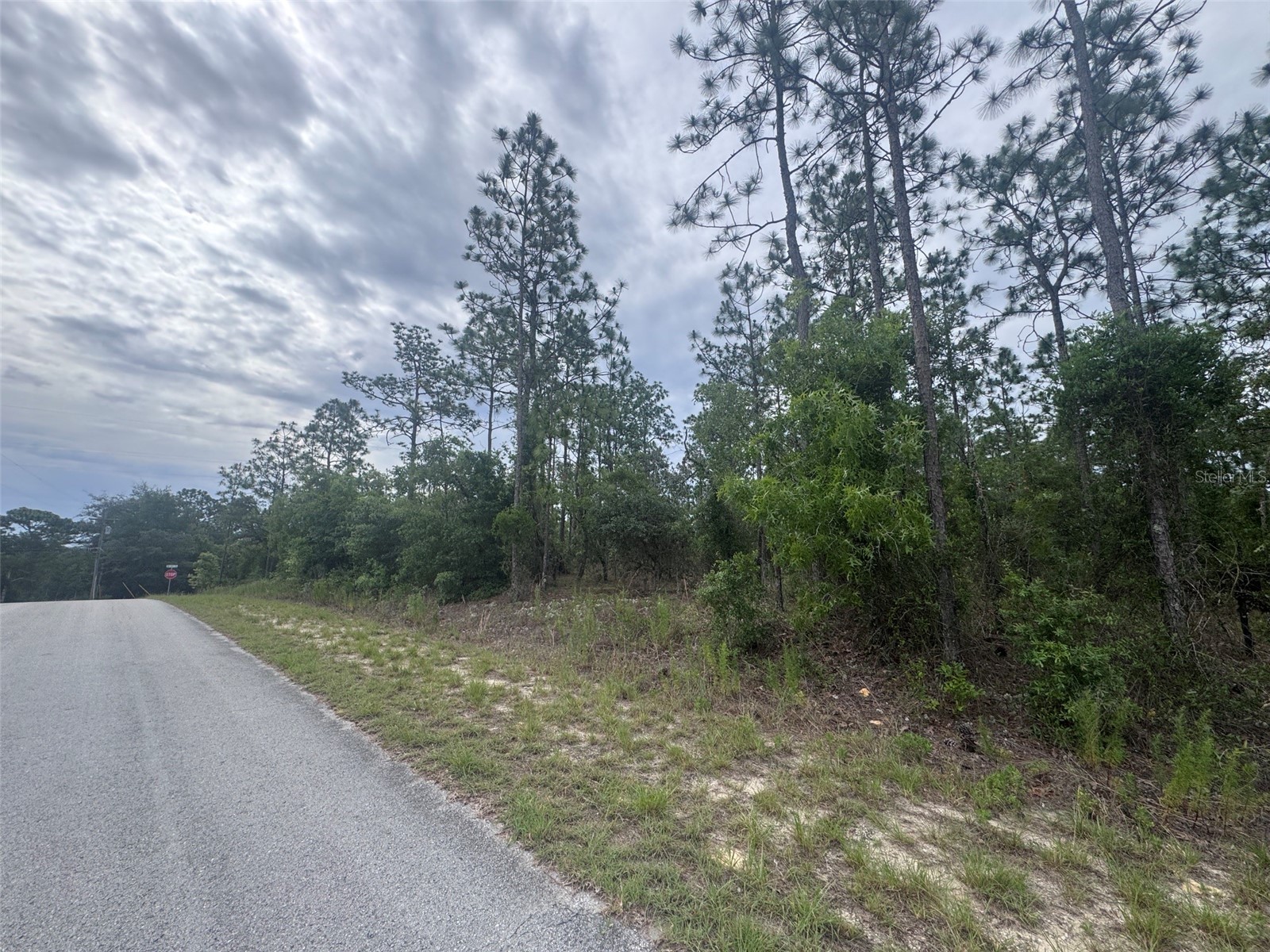 0 SW Egdewater Boulevard Dunnellon FL 34431 OM726290 image4
