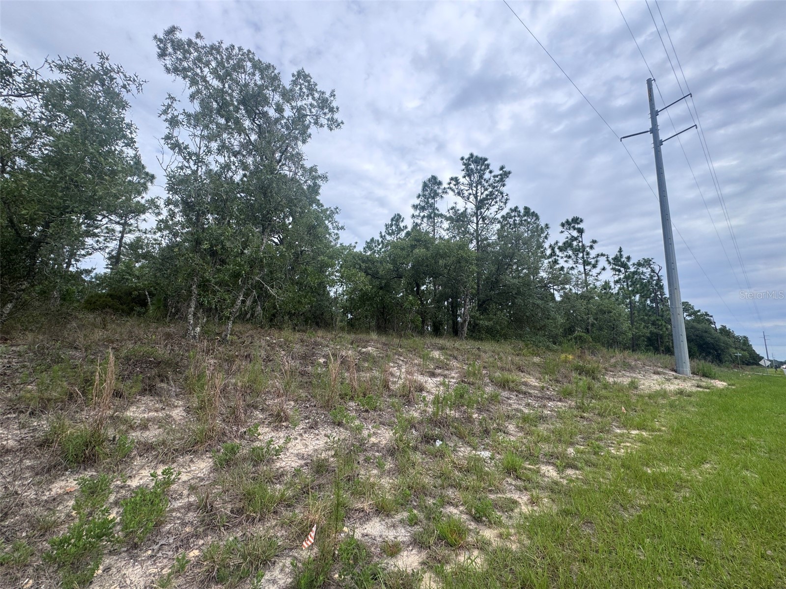0 SW Egdewater Boulevard Dunnellon FL 34431 OM726290 image5