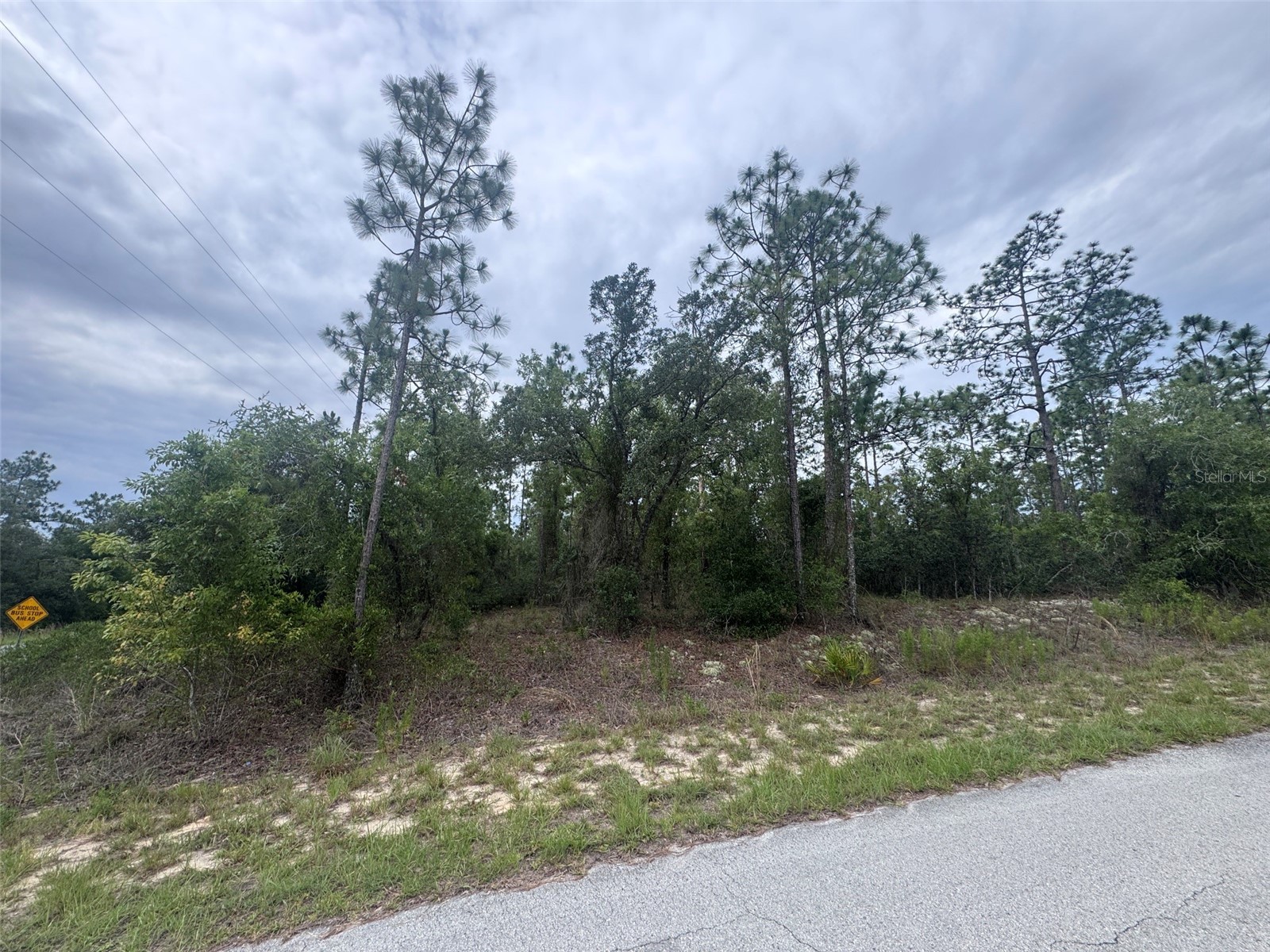 0 SW Egdewater Boulevard Dunnellon FL 34431 OM726290 image6