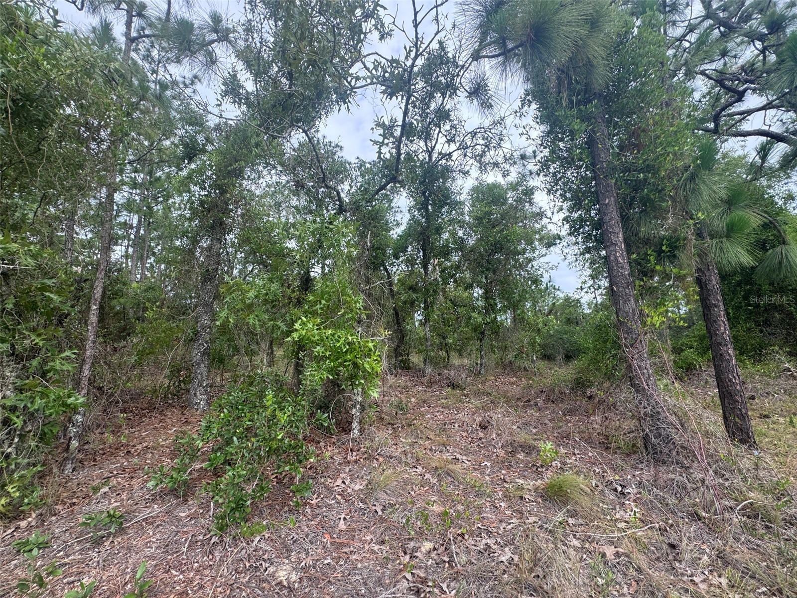 0 SW Egdewater Boulevard Dunnellon FL 34431 OM726290 image8