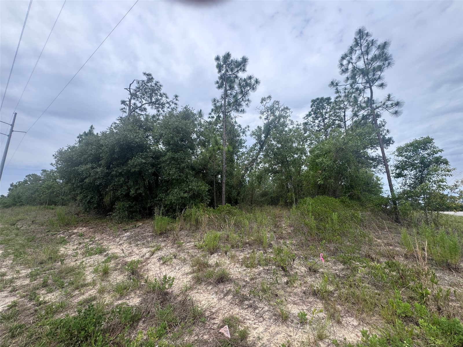 0 SW Egdewater Boulevard Dunnellon FL 34431 OM726290 image9