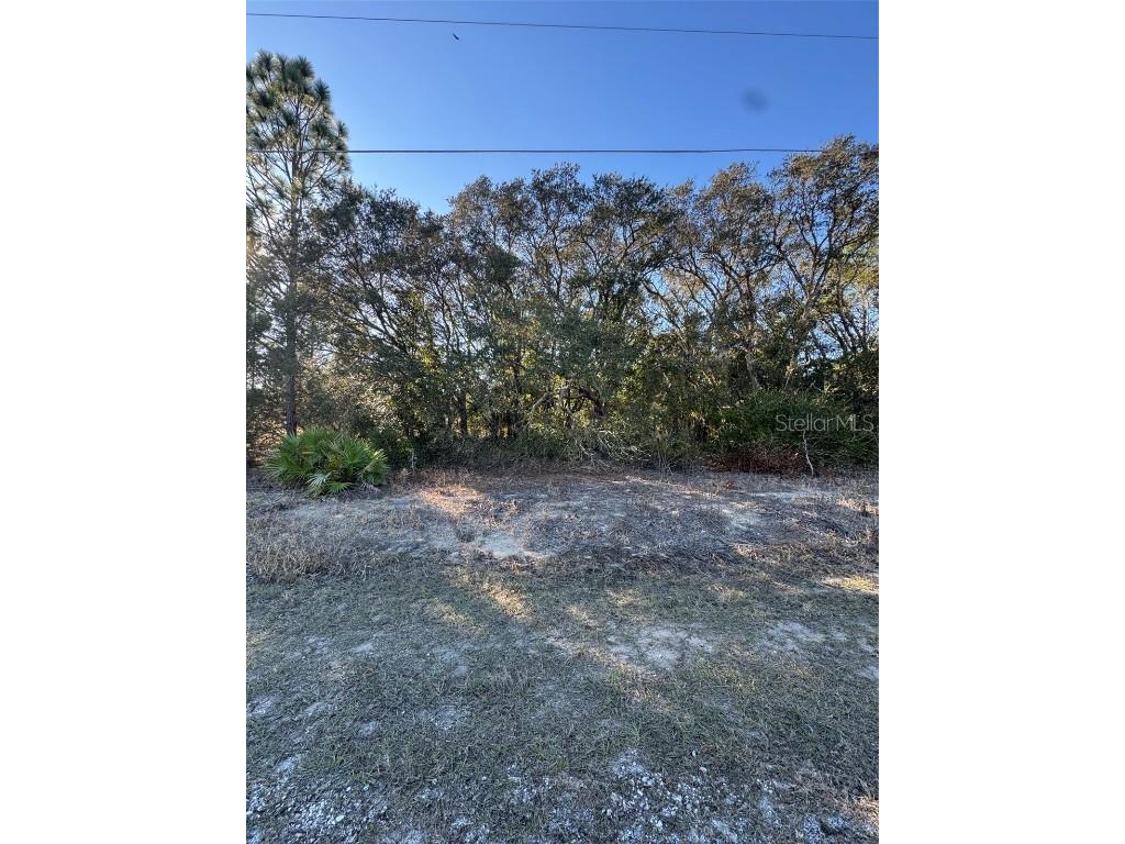 0 SW Evergreen Court Dunnellon FL 34431 O6267946 image1
