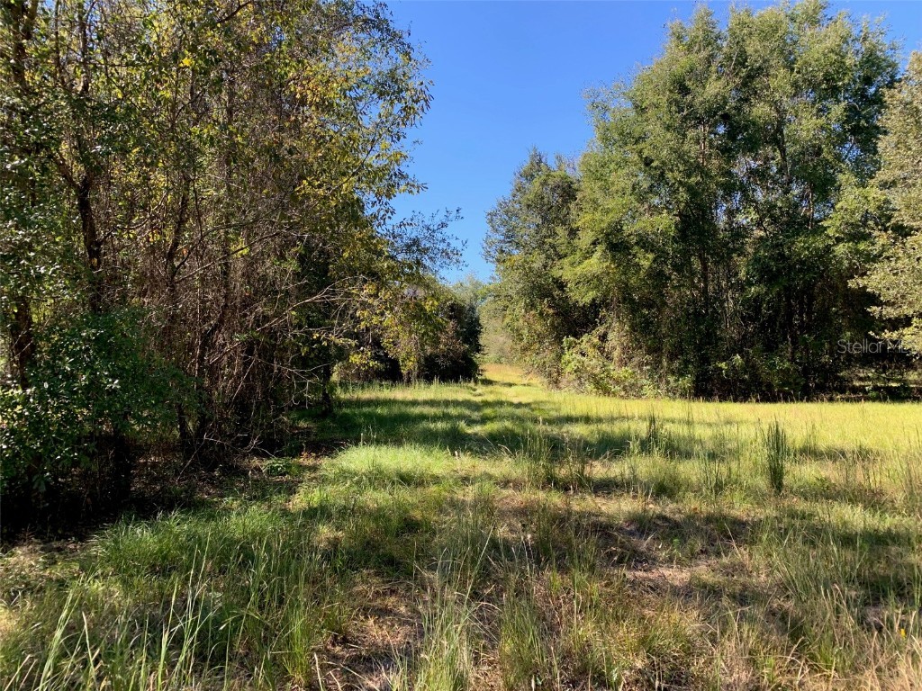 0 Sw Federal Ct Fort White FL 32038 O6175854 image1