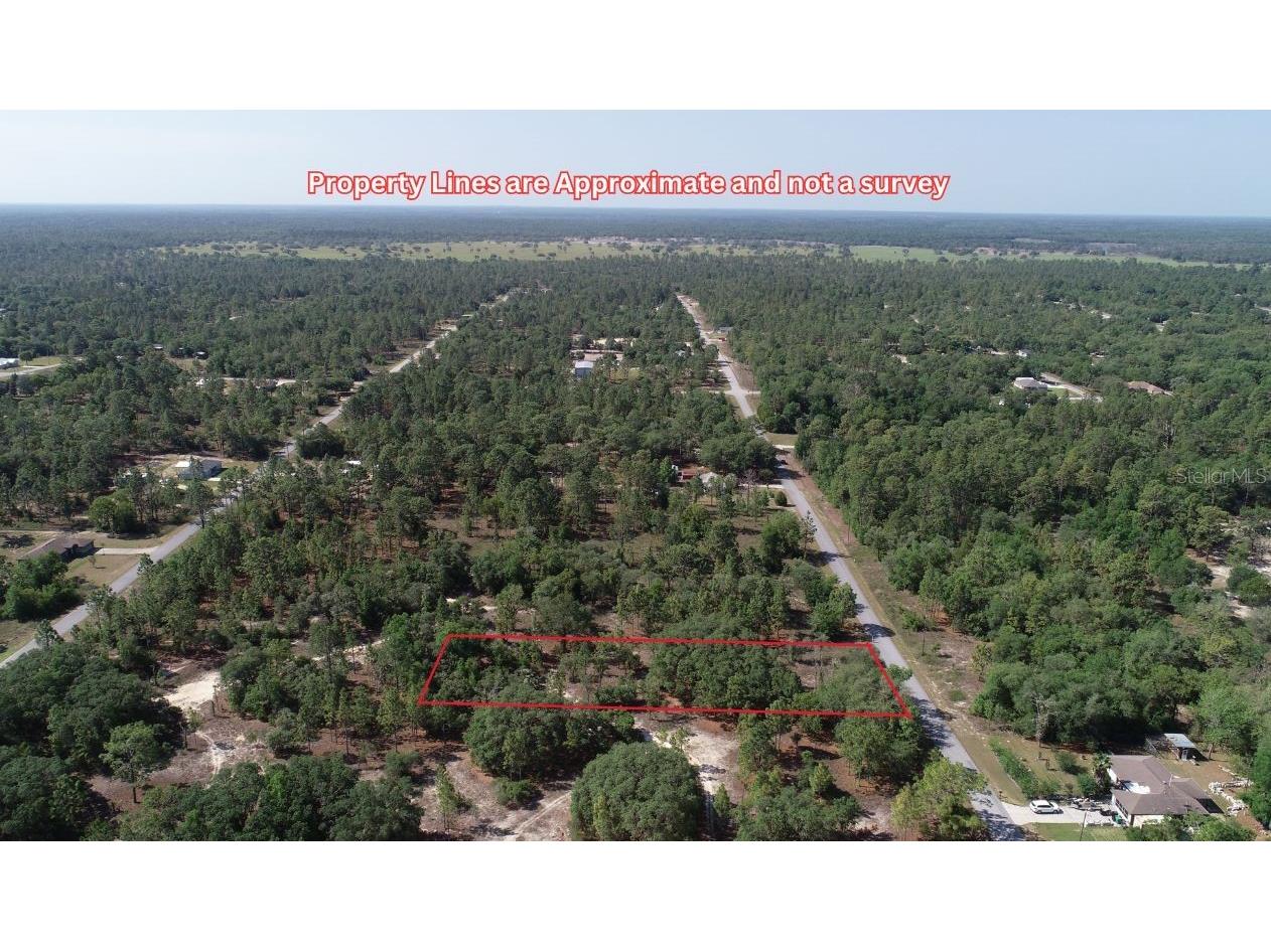 0 SW Floral Court Dunnellon FL 34431 A4652366 image2