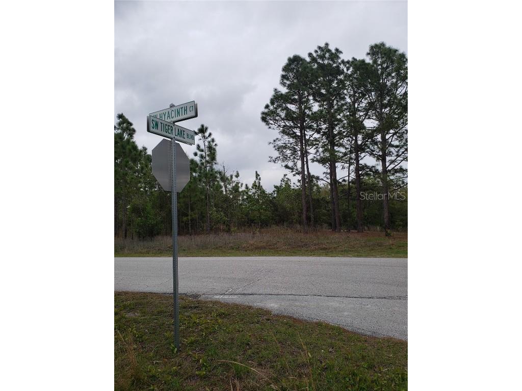 0 SW Hyacinth Court Dunnellon FL 34431 OM637123 image1