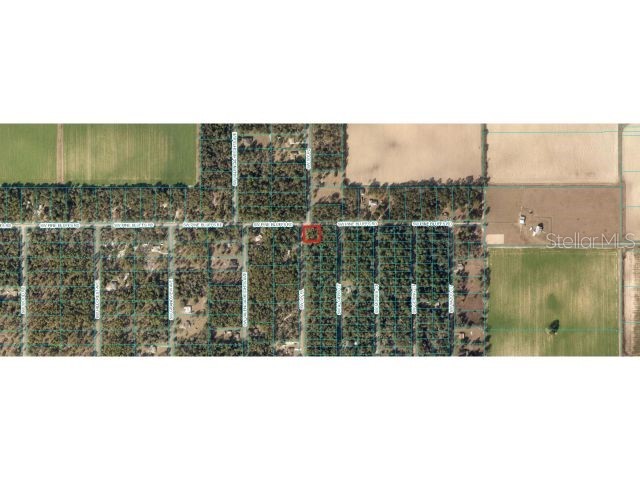 0 SW Ivy Place Dunnellon FL 34431 O6113242 image1