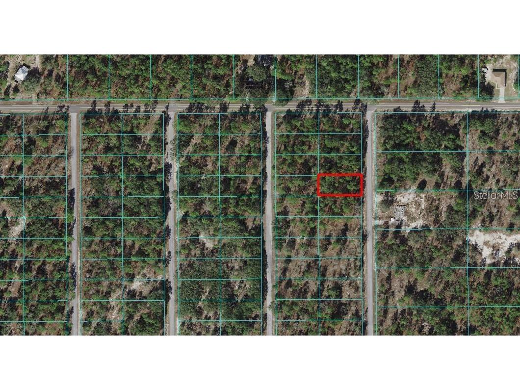 0 SW Little Cliffs Drive Dunnellon FL 34431 OM655046 image1