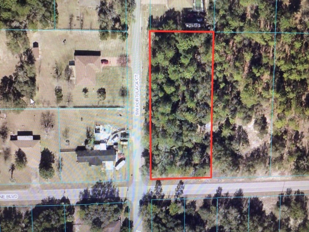 0 SW Marine Blvd Dunnellon FL 34431 OM653296 image1