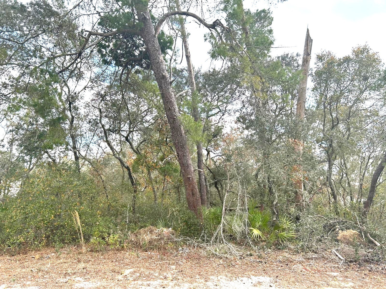 0 SW Marion Oaks Golf Road Ocala FL 34473 OM718654 image3