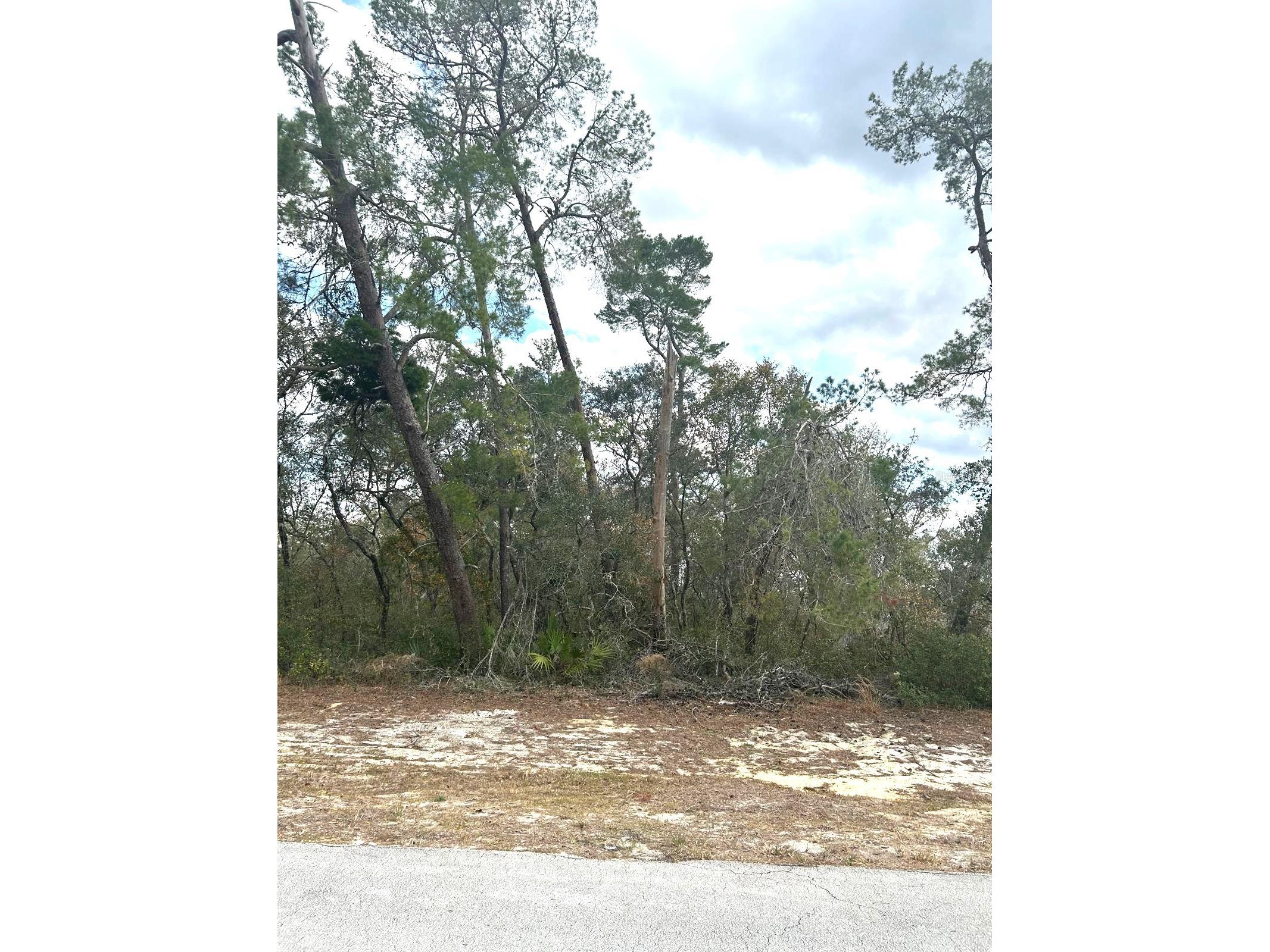 0 SW Marion Oaks Golf Road Ocala FL 34473 OM718654 image4