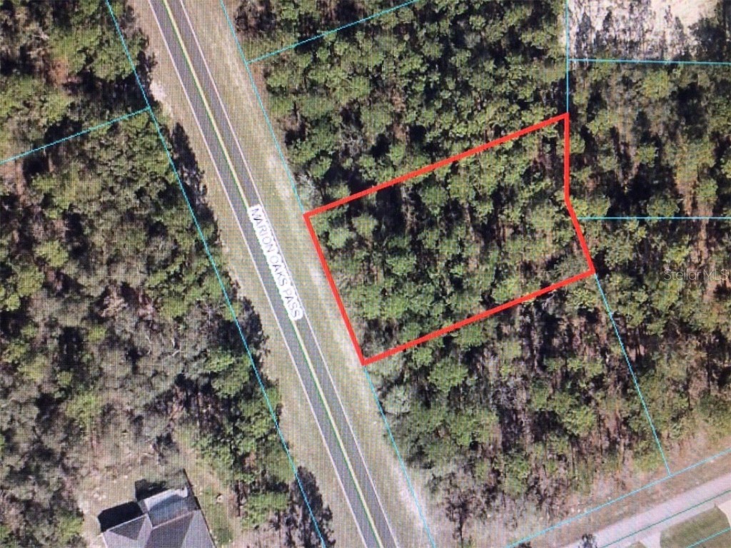 0 SW Marion Oaks Pass Ocala FL 34473 OM698810 image1