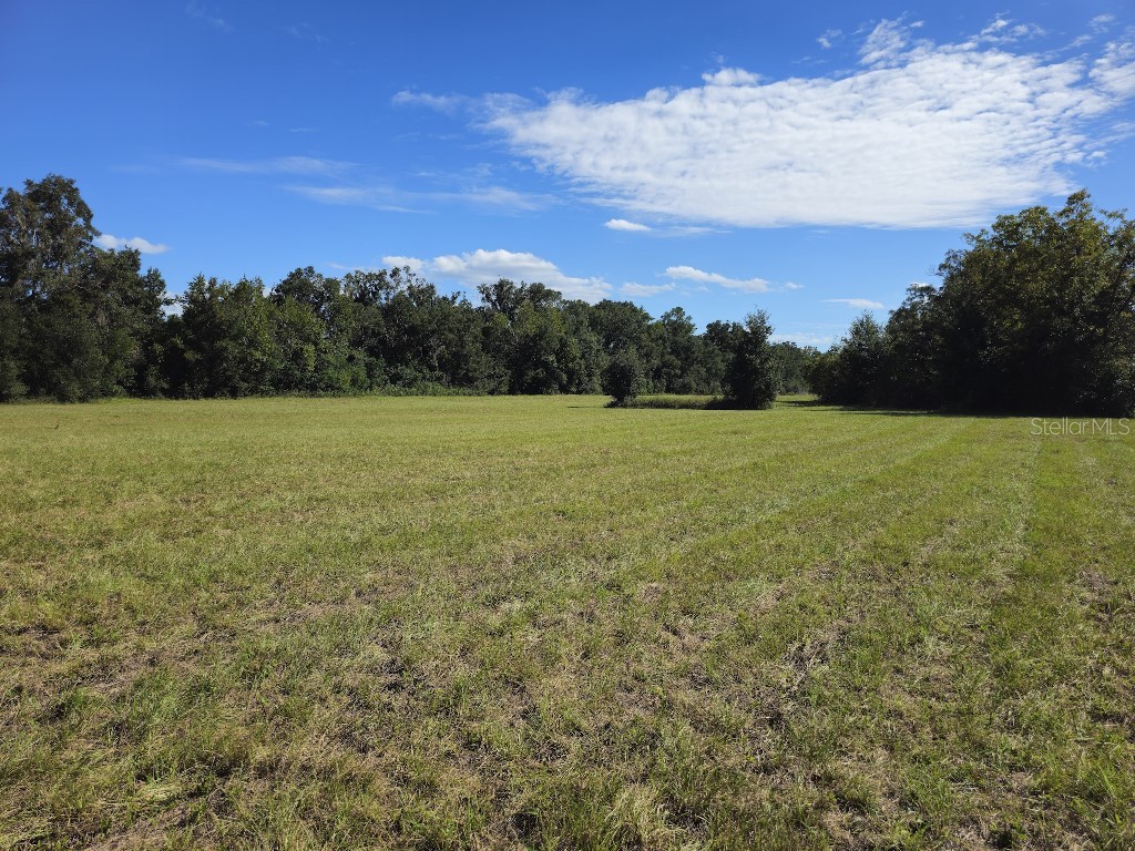 0 SW Meadow View Court Lake City FL 32055 TB8460921 image7