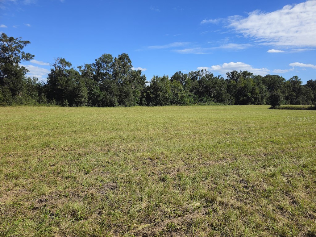 0 SW Meadow View Court Lake City FL 32055 TB8460921 image8