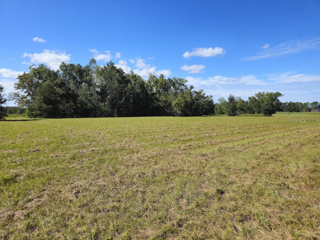 0 SW Meadow View Court Lake City FL 32055 TB8460921 image9