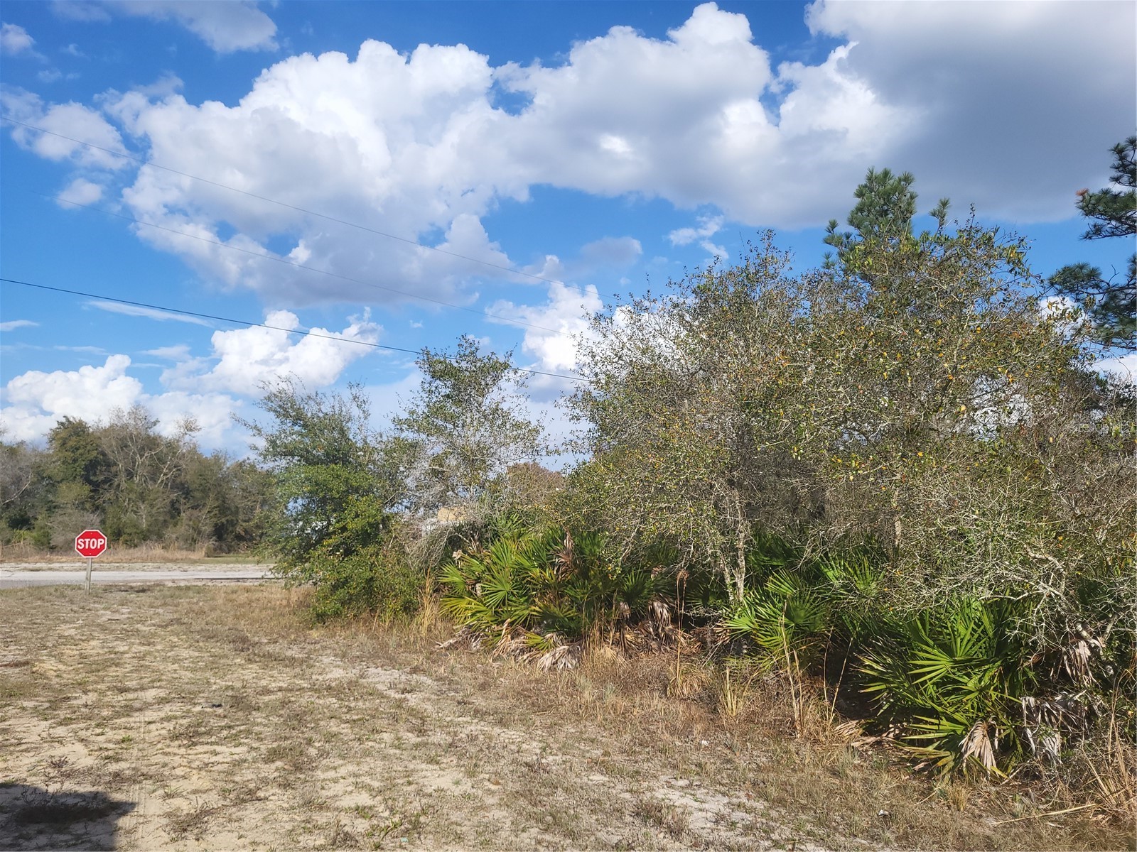 0 SW Orlando Drive #10 Indian Lake Estates FL 33855 P4938137 image4