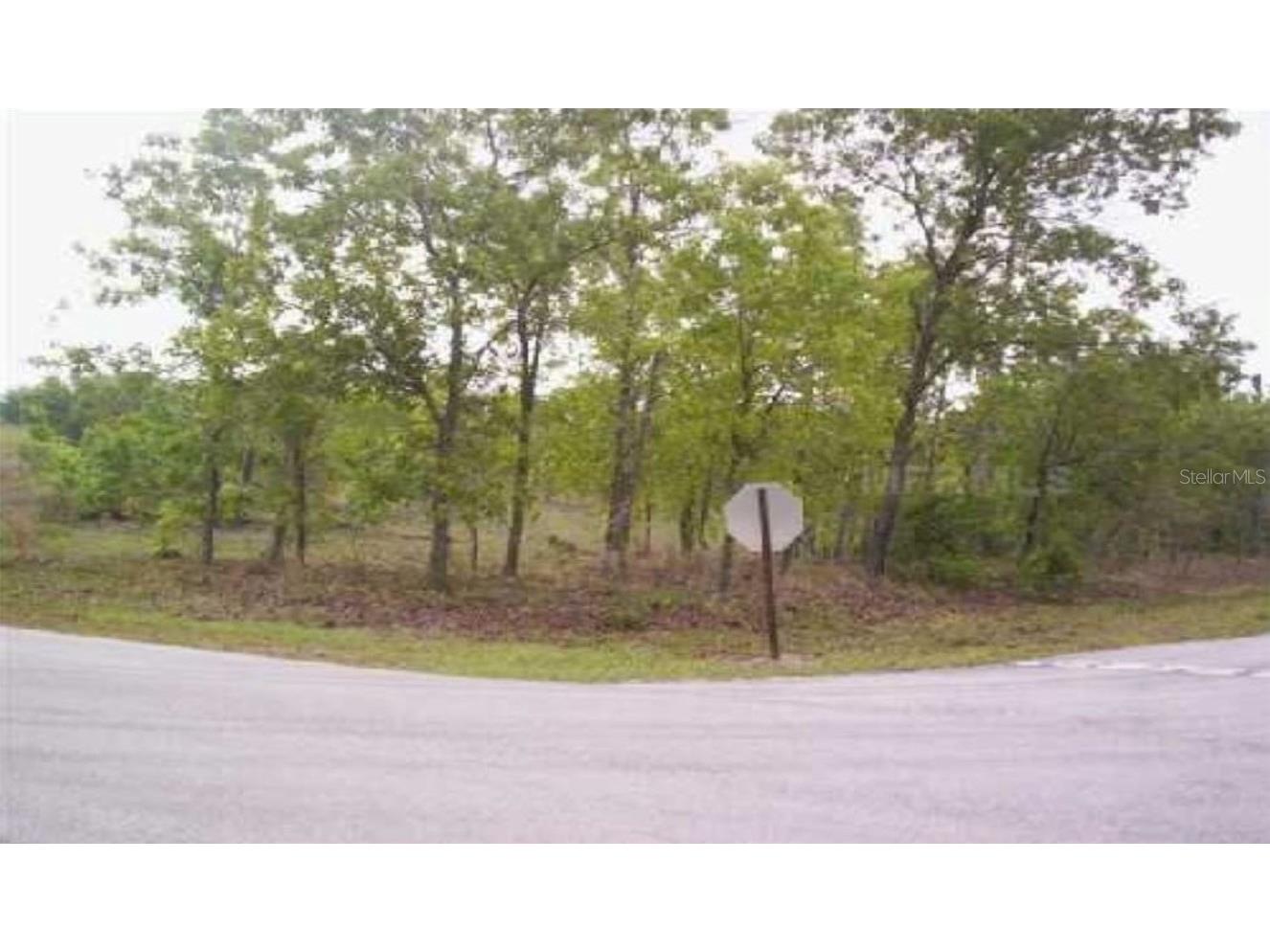 0 SW Oxalis Court Dunnellon FL 34431 T3429110 image1