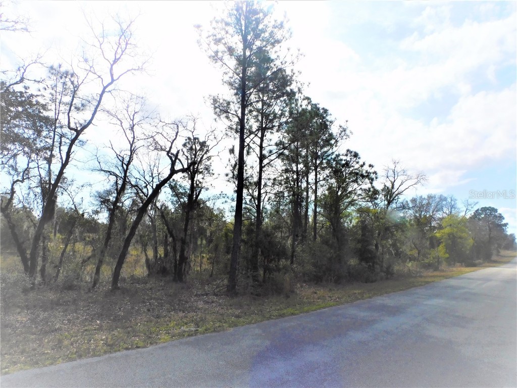 0 SW Oxalis Court Dunnellon FL 34431 T3429112 image1