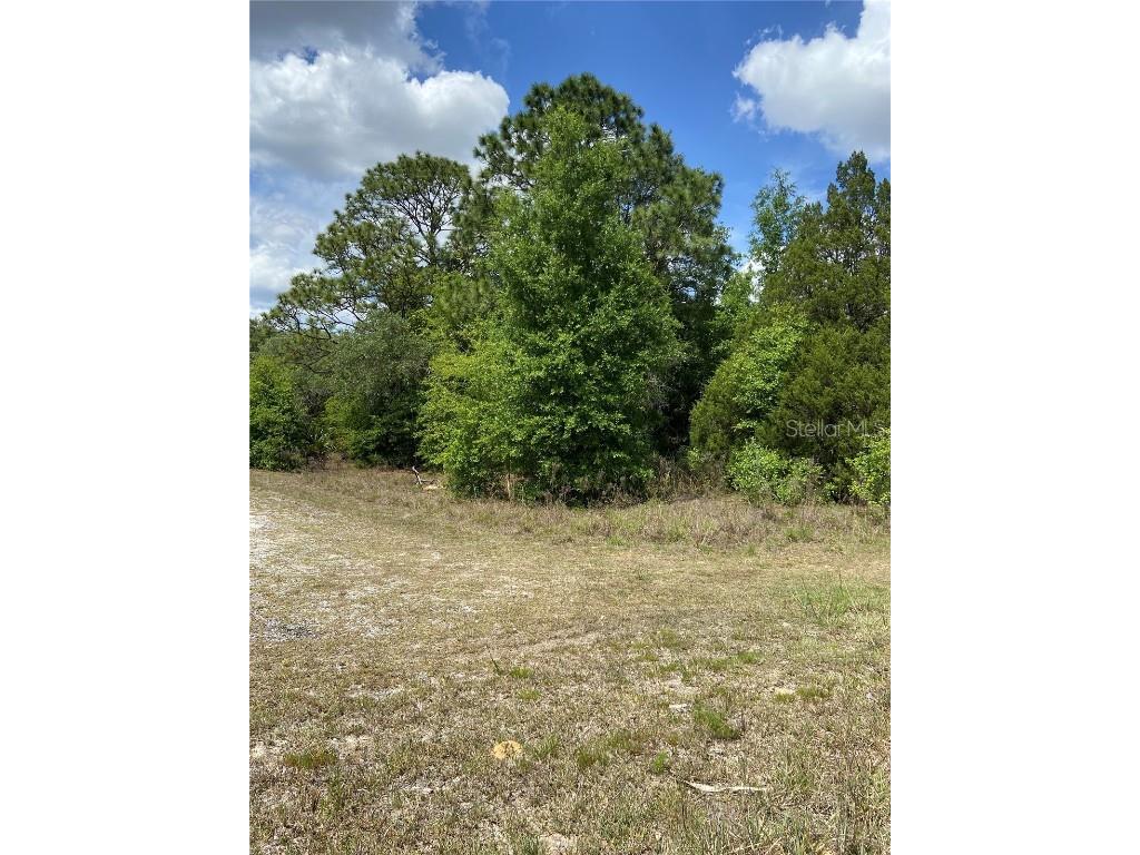 0 SW Pine Bluffs Road Dunnellon FL 34431 A4569933 image1