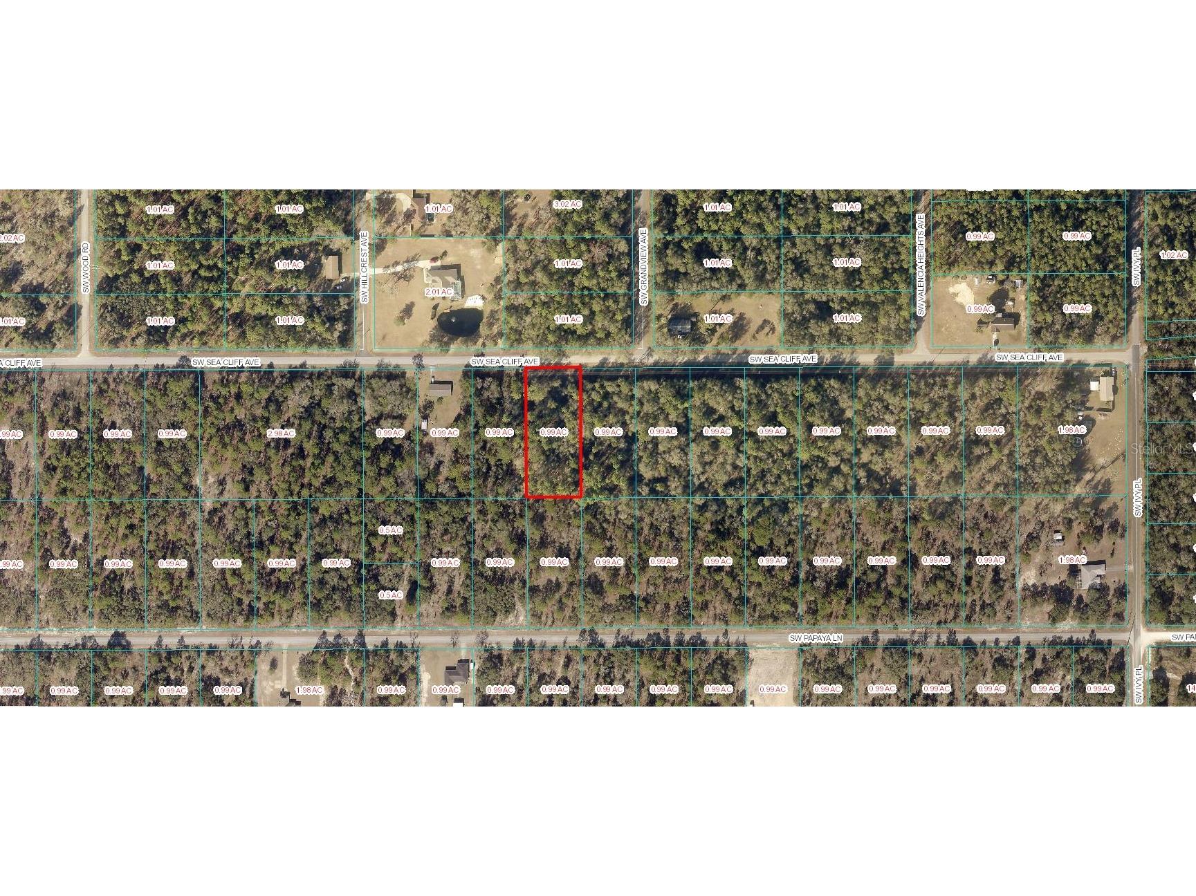 0 SW Sea Cliff Avenue Dunnellon FL 34431 OM643661 image1