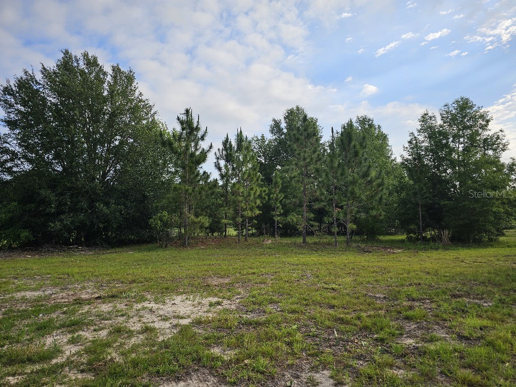 0 SW Spirit Ave Avenue Fort White FL 32038 TB8513104 image12