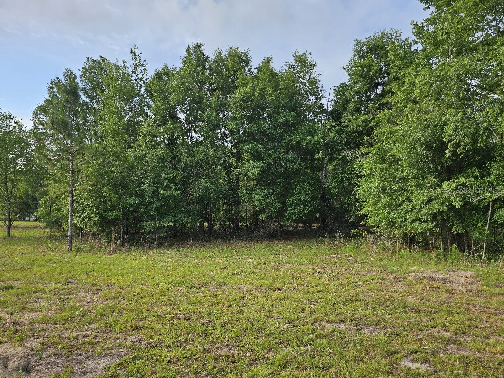 0 SW Spirit Ave Avenue Fort White FL 32038 TB8513104 image18