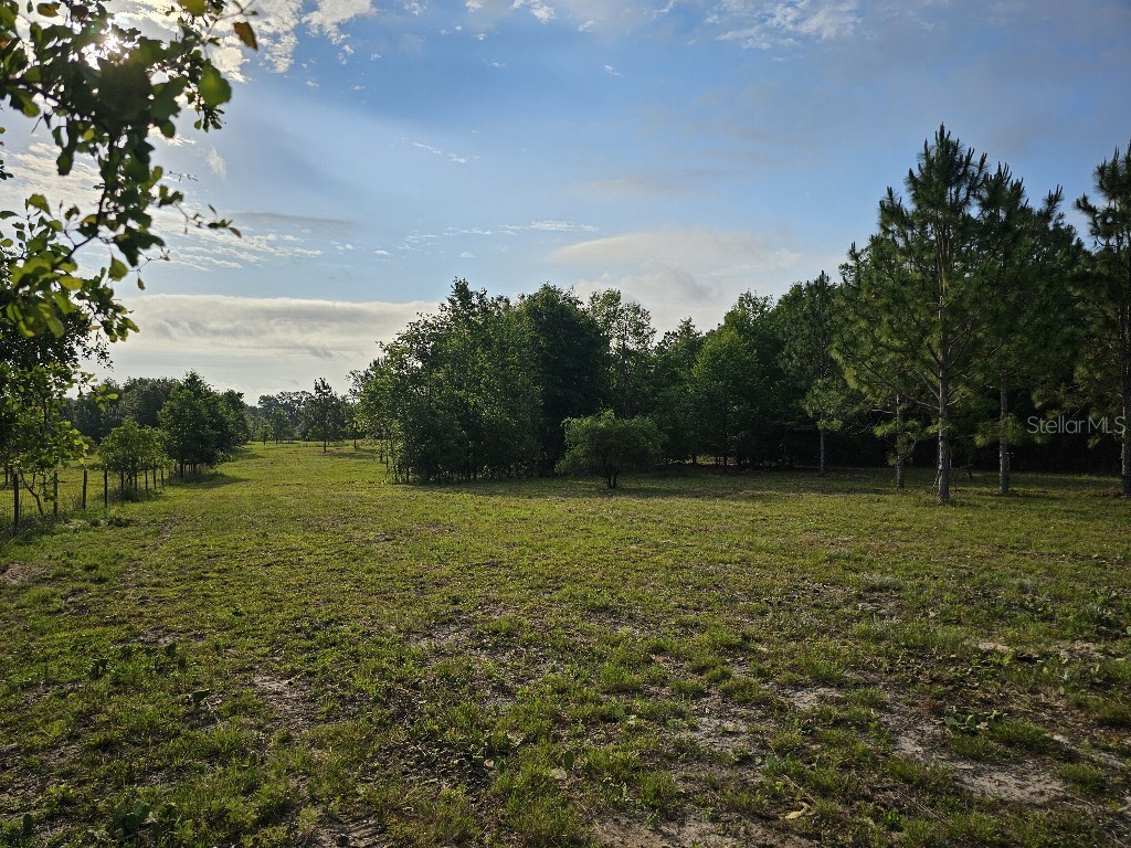 0 SW Spirit Ave Avenue Fort White FL 32038 TB8513104 image20