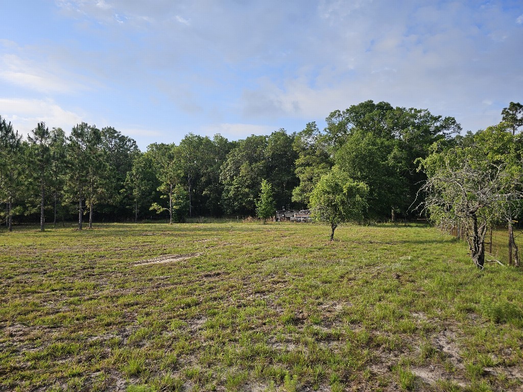 0 SW Spirit Ave Avenue Fort White FL 32038 TB8513104 image21