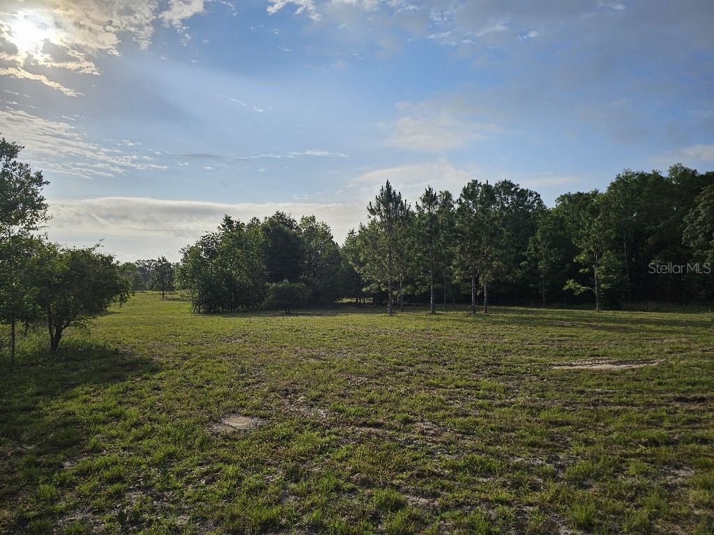 0 SW Spirit Ave Avenue Fort White FL 32038 TB8513104 image22
