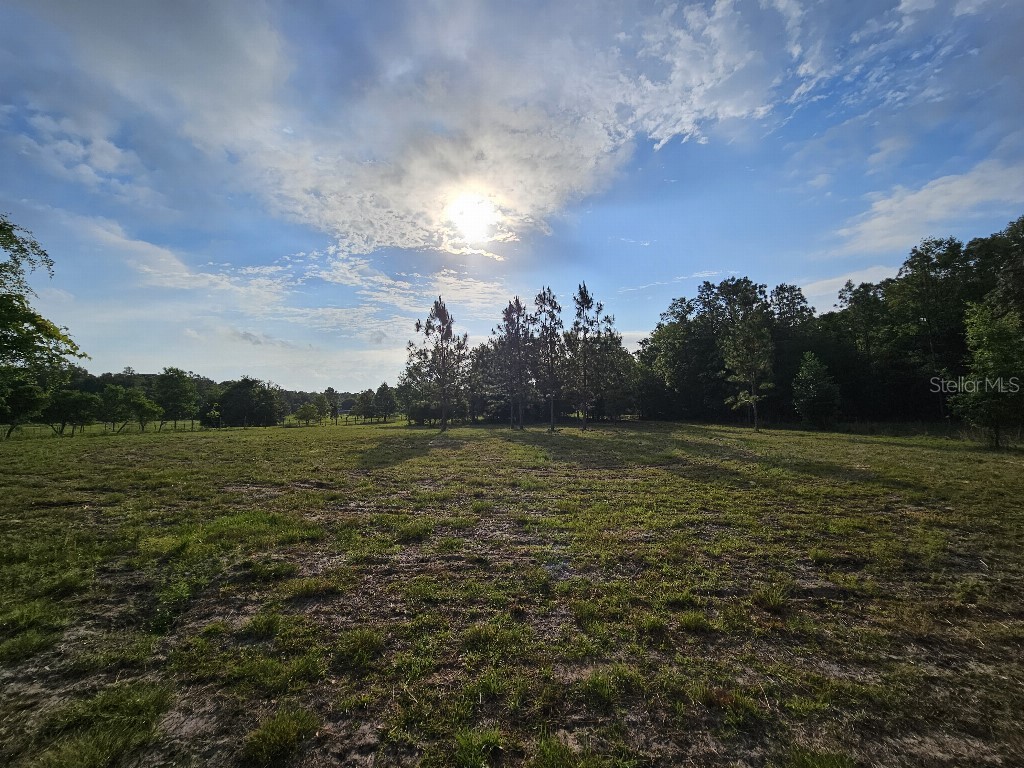 0 SW Spirit Ave Avenue Fort White FL 32038 TB8513104 image23