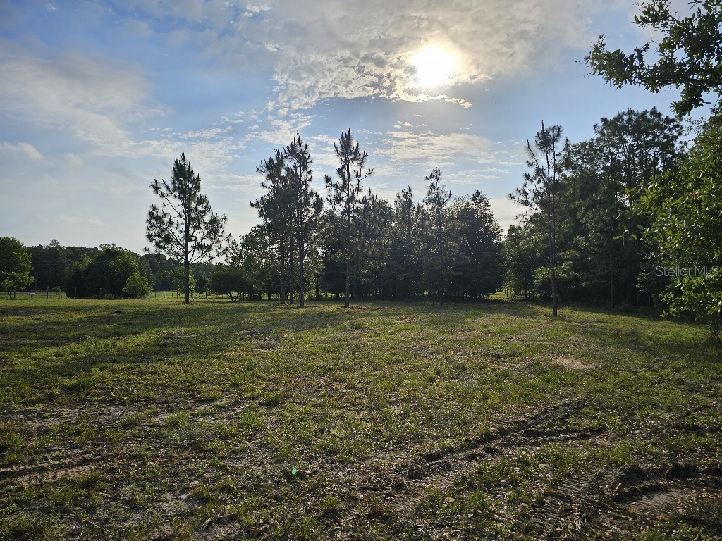 0 SW Spirit Ave Avenue Fort White FL 32038 TB8513104 image26