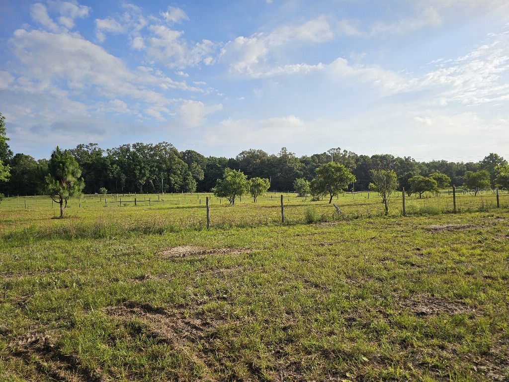 0 SW Spirit Ave Avenue Fort White FL 32038 TB8513104 image30