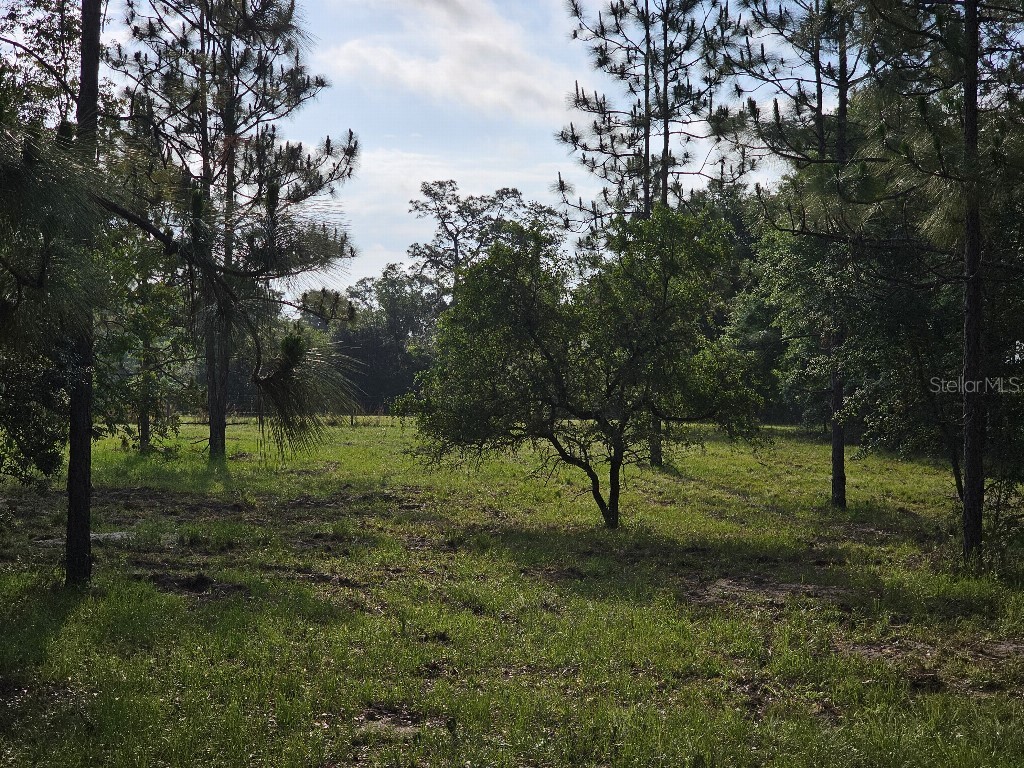 0 SW Spirit Ave Avenue Fort White FL 32038 TB8513104 image32