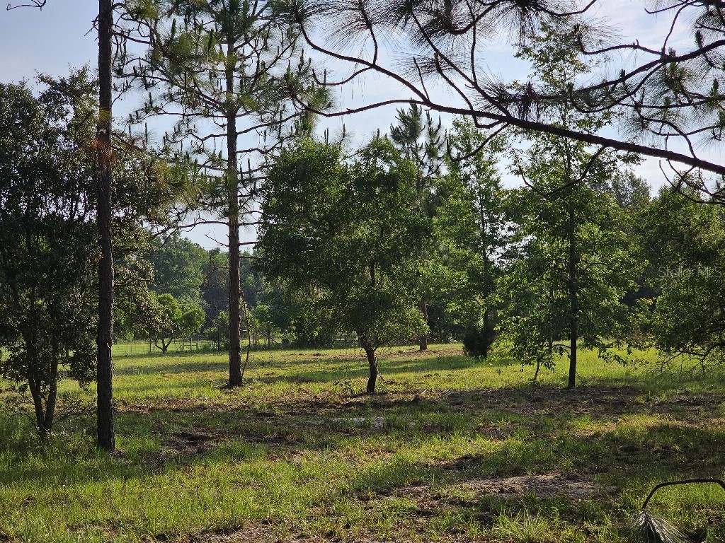 0 SW Spirit Ave Avenue Fort White FL 32038 TB8513104 image33