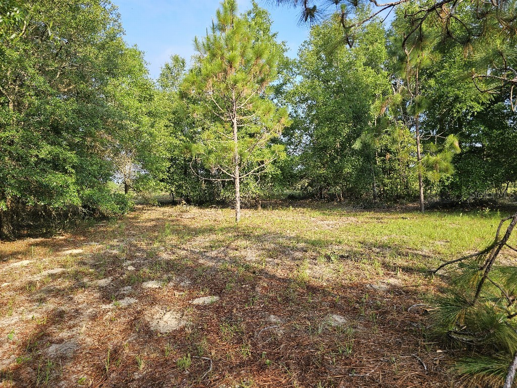 0 SW Spirit Ave Avenue Fort White FL 32038 TB8513104 image34