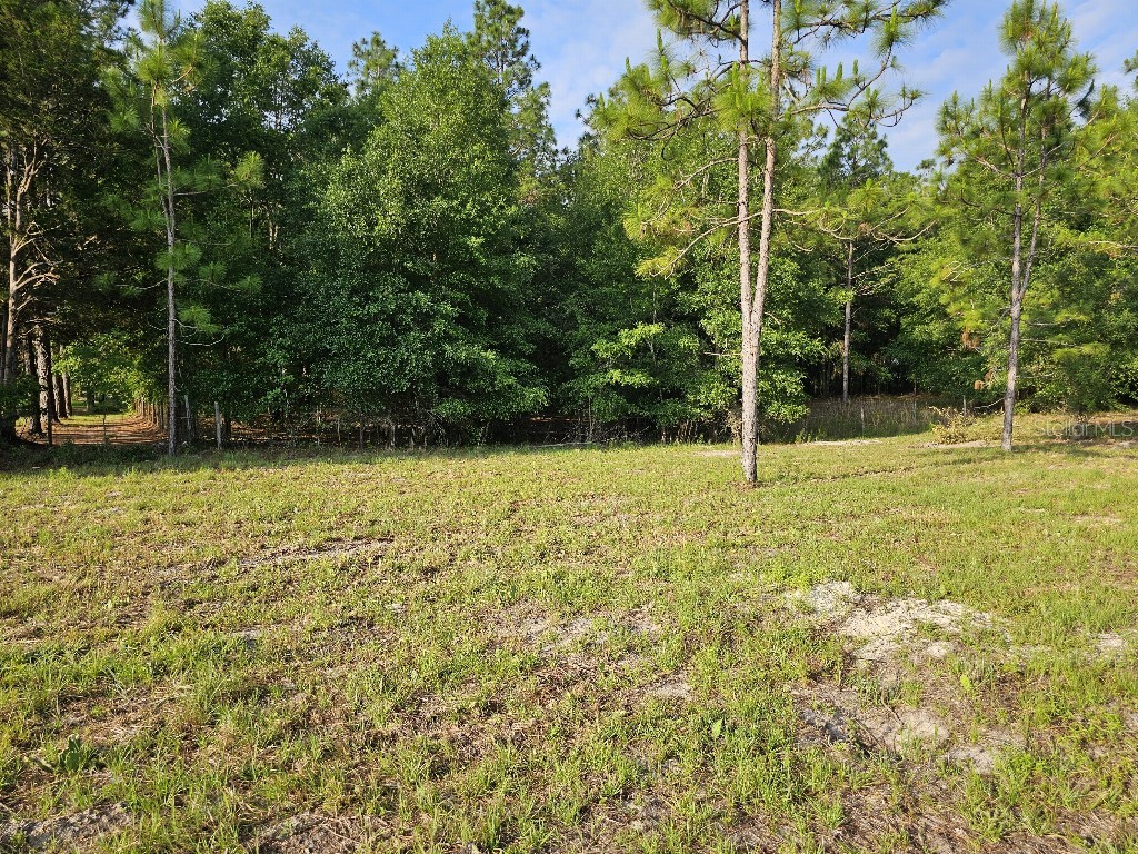 0 SW Spirit Ave Avenue Fort White FL 32038 TB8513104 image35