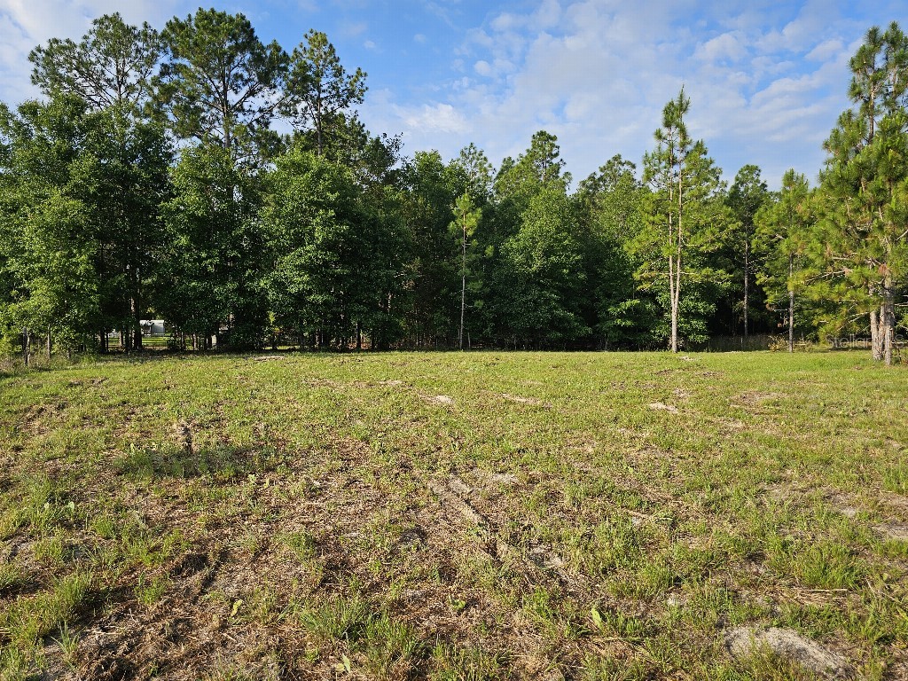 0 SW Spirit Ave Avenue Fort White FL 32038 TB8513104 image37