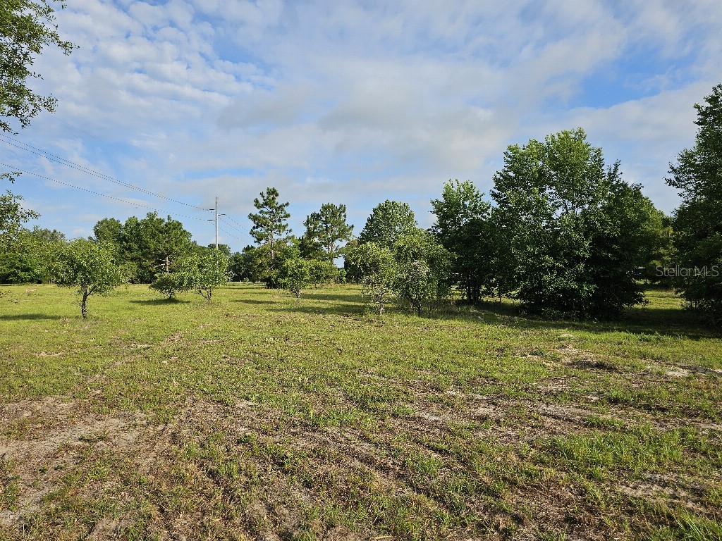 0 SW Spirit Ave Avenue Fort White FL 32038 TB8513104 image4
